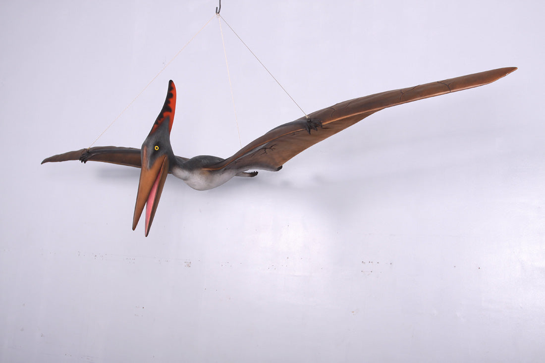 Pterodactyl Flying Life Size Statue Hanging 6 FT