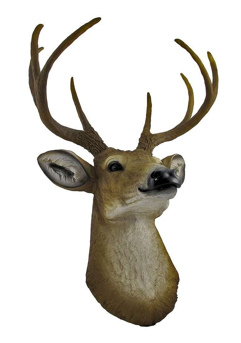 deer buck head