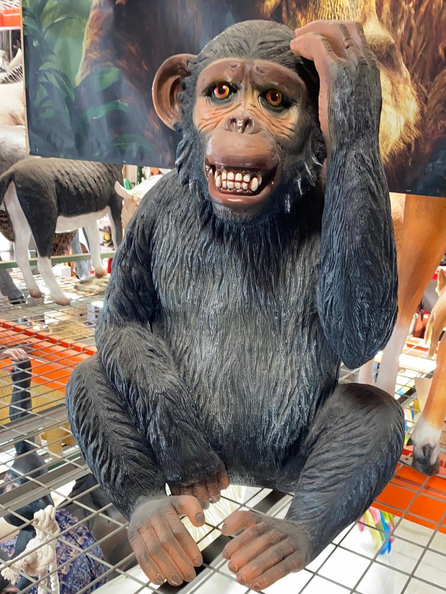 Buy a hot sale chimpanzee monkey