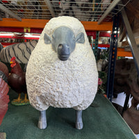 Large Ryeland Ewe Life Size Statue