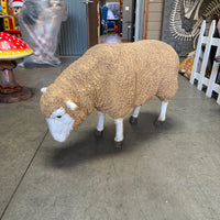 Merino Ewe Sheep Head Down Life Size Statue