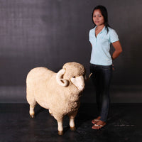 Merino Ram Life Size Statue