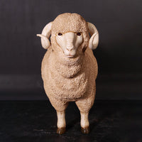 Merino Ram Life Size Statue