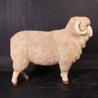 Merino Ram Life Size Statue