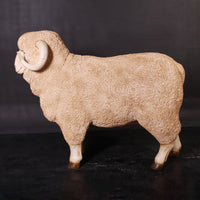 Merino Ram Life Size Statue