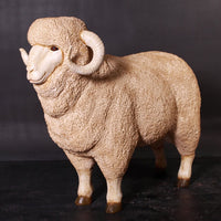 Merino Ram Life Size Statue