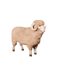 Merino Ram Life Size Statue