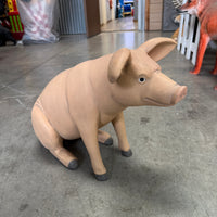 Baby Pig Sitting Life Size Statue