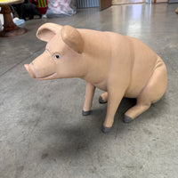 Baby Pig Sitting Life Size Statue