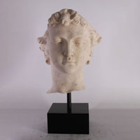 Stone David Head Life Size Statue