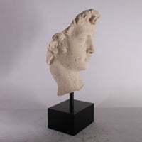 Stone David Head Life Size Statue