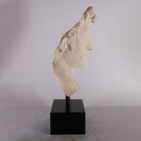 Stone David Head Life Size Statue