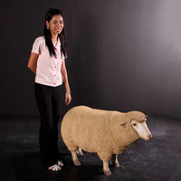 Merino Ewe Sheep Life Size Statue