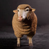 Merino Ewe Sheep Life Size Statue