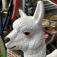 White Alpaca Life Size Statue