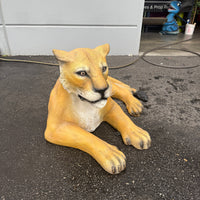 Laying Lioness Life Size Statue