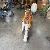 Crouching Bengal Tiger Life Size Statue