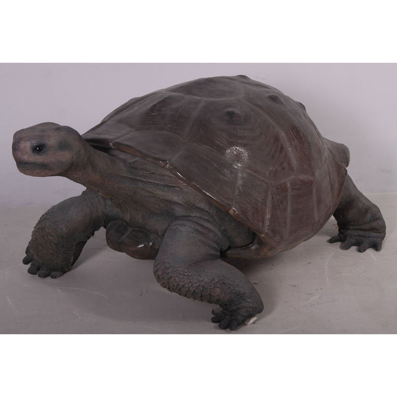 Galapagos Tortoise Over Sized Statue | LM Treasures