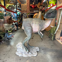 Allosaurus Dinosaur Head Turned Life Size Statue