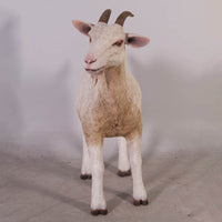 Cream Goat Life Size Statue