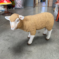 Merino Baby Lamb Life Size Statue
