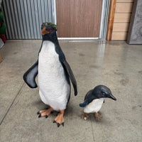 Rock Hopper Penguin Statue