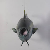 Yellow Fin Tuna Fish Statue