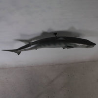 Barracuda Wall Decor Statue