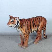 Sumatran Tiger Life Size Statue