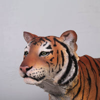 Sumatran Tiger Life Size Statue