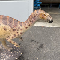 Iguanont Dinosaur Life Size Statue