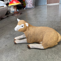 Laying Baby Merino Lamb Life Size Statue