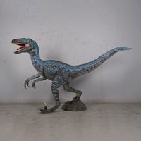 Blue Velociraptor Dinosaur Life Size Statue