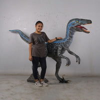 Blue Velociraptor Dinosaur Life Size Statue