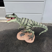 Baby T-Rex Dinosaur Life Size Statue