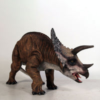 Baby Definitive Triceratops Dinosaur Statue