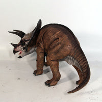 Baby Definitive Triceratops Dinosaur Statue