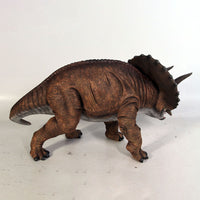 Baby Definitive Triceratops Dinosaur Statue