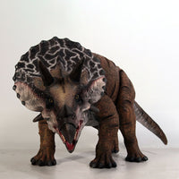 Baby Definitive Triceratops Dinosaur Statue