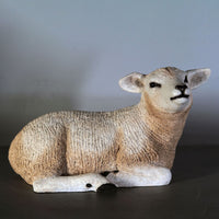 Texelaar Baby Lamb Resting Life Size Statue