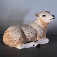 Texelaar Baby Lamb Resting Life Size Statue