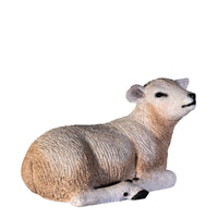 Texelaar Baby Lamb Resting Life Size Statue