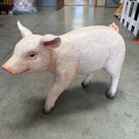 Baby Pig Life Size Statue