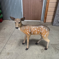 Fawn Fallow Deer Life Size Statue