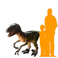 Deinonychus Dinosaur Life Size Statue - LM Treasures 