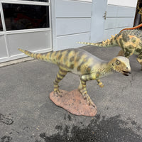 Hypsilophodont Dinosaur Life Size Statue