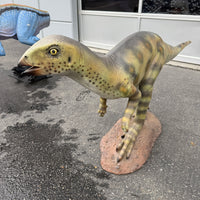 Hypsilophodont Dinosaur Life Size Statue