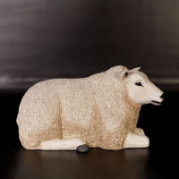 Texelaar Baby Sheep Laying Life Size Statue