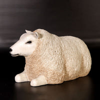 Texelaar Baby Sheep Laying Life Size Statue