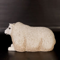 Texelaar Baby Sheep Laying Life Size Statue